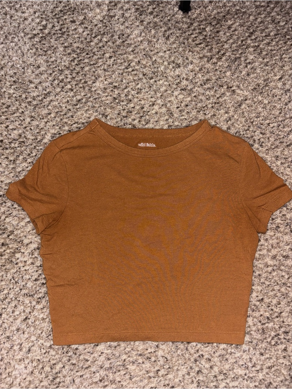 wild fable Rust-Colored Cropped Crewneck Tee